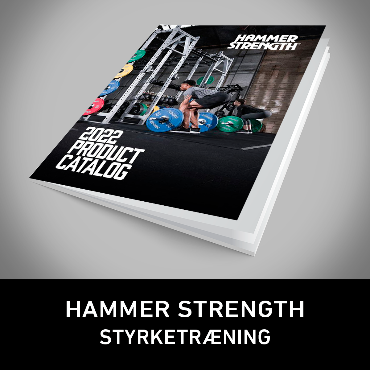 HAMMER_STRENGTH_1