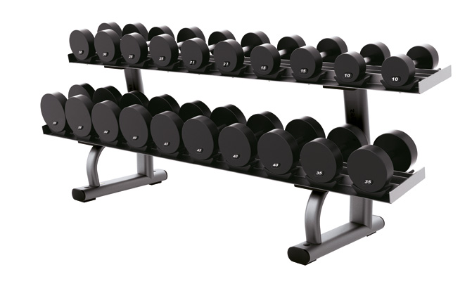 Life Fitness 2-Tier Dumbbell Rack
