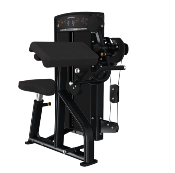 Demo - Life Fitness Axiom Biceps/Triceps