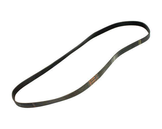 Cybex Belt, Poly-V 480J8 -750C/R