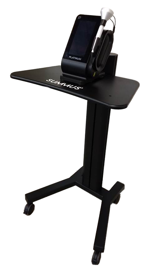 Summus heavy duty stand with casteres 