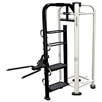  Life Fitness PWR Play Dip 