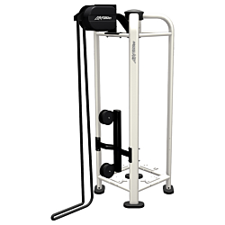 Life Fitness PWR Play Rope Pull