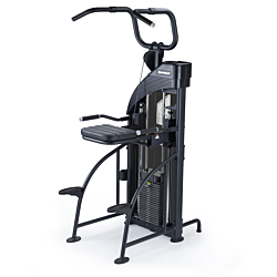 SportsArt DF307 Assisted Chin/Dip
