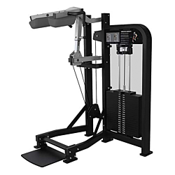 Hammer Strength Select Standing Calf