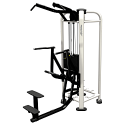 Life Fitness PWR Play Assist Dip / Chin 