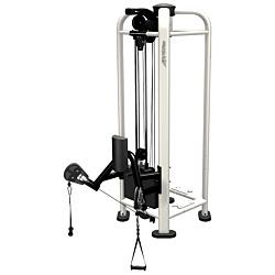 Life Fitness PWR Play Dual Cable Low