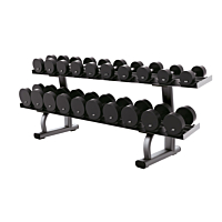  Life Fitness 2-Tier Dumbbell Rack
