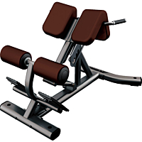  Life Fitness Back Extension 