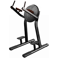  Life Fitness Leg Raise 