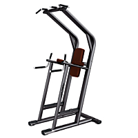  Life Fitness Leg Raise/Dip/Chin 