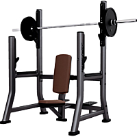  Life Fitness Military Bench 