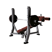  Life Fitness Decline Bench 