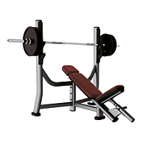  Life Fitness Incline Bench 