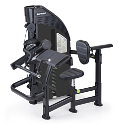 SportsArt DF305 Biceps/Triceps