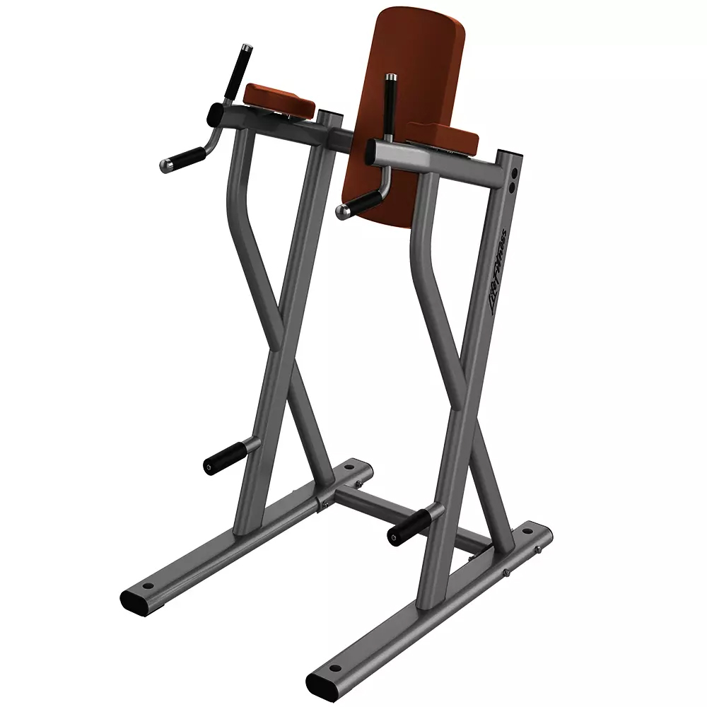 Life Fitness Leg Raise/Dip 