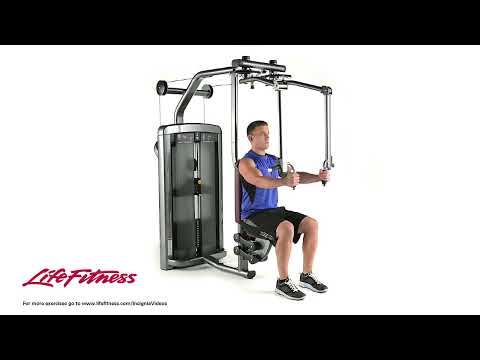 Life Fitness Insignia Series Fly/Rear Delt