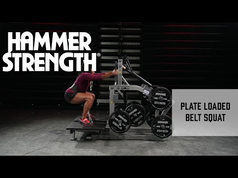 Hammer Strength Plate Loaded Belt Squat