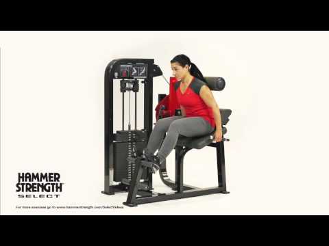 Hammer Strength Select Back Extension