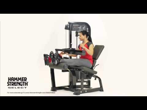 Hammer Strength Select Seated Leg Curl