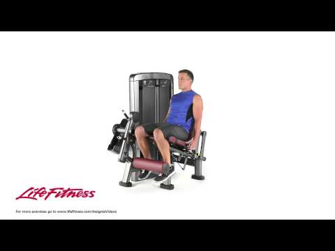 Life Fitness Insignia Series Leg Extension