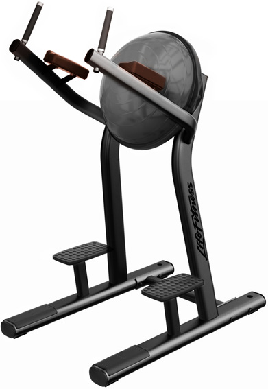 Life Fitness Leg Raise 