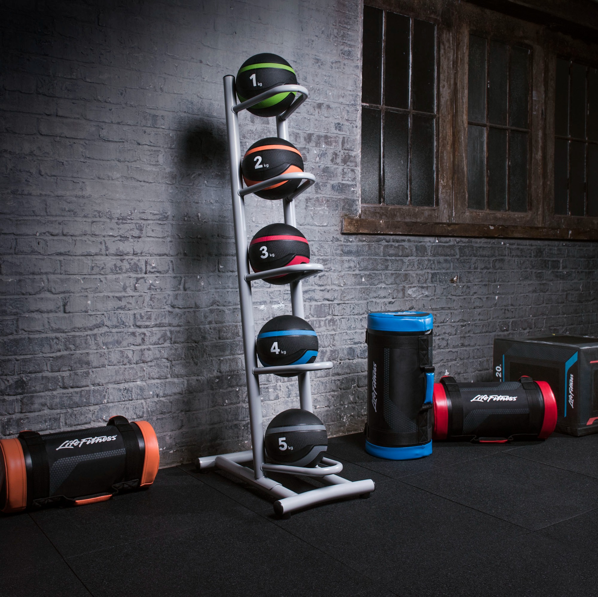 Life Fitness Vertical Medicine Ball Storage  