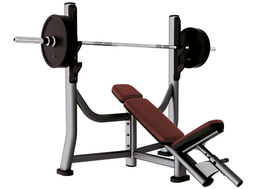 Life Fitness Incline Bench