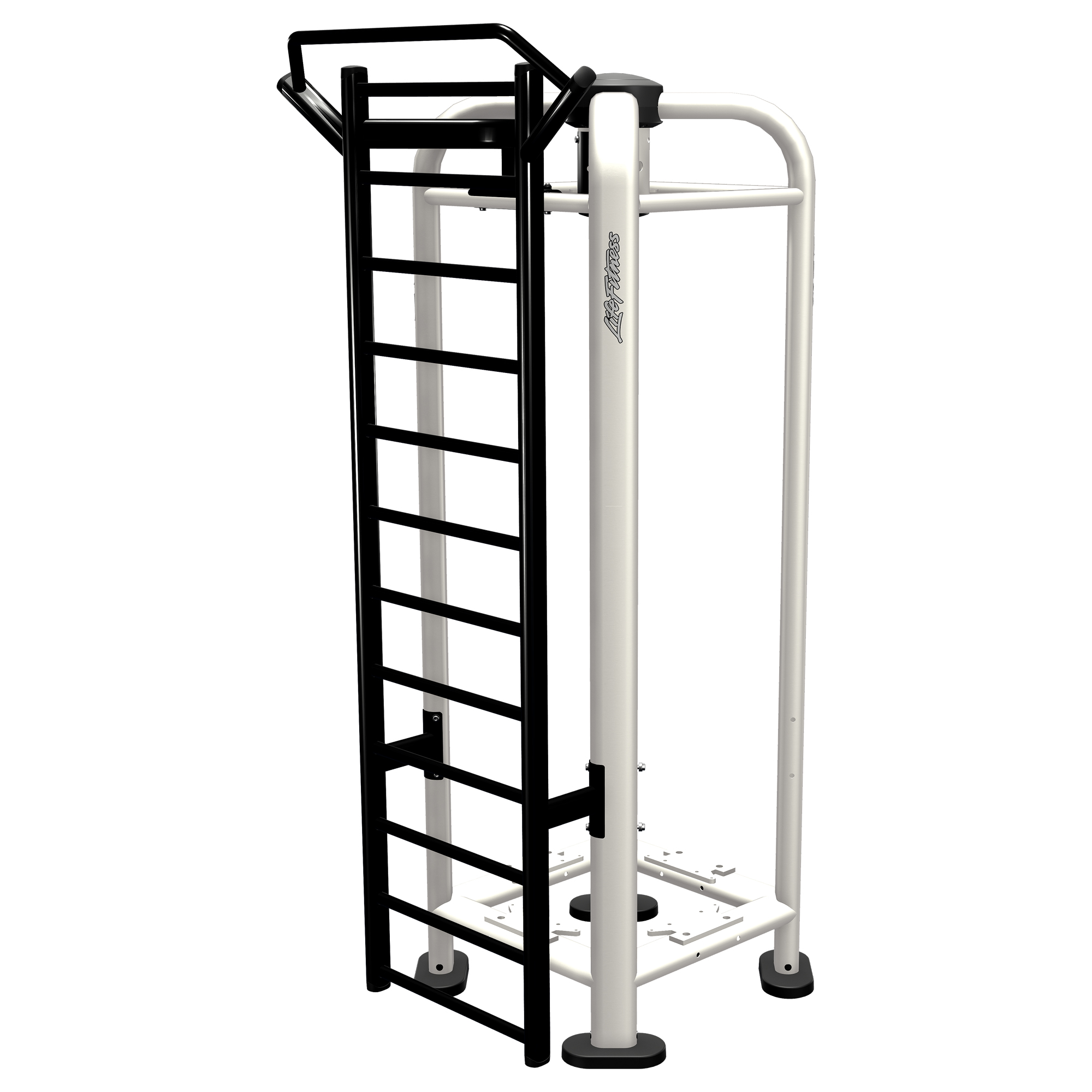 Life Fitness PWR Play Stall Bars