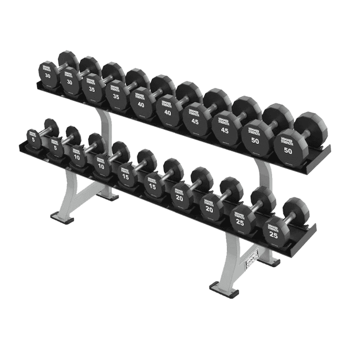 Hammer Strength Two Tier Dumbbell Rack