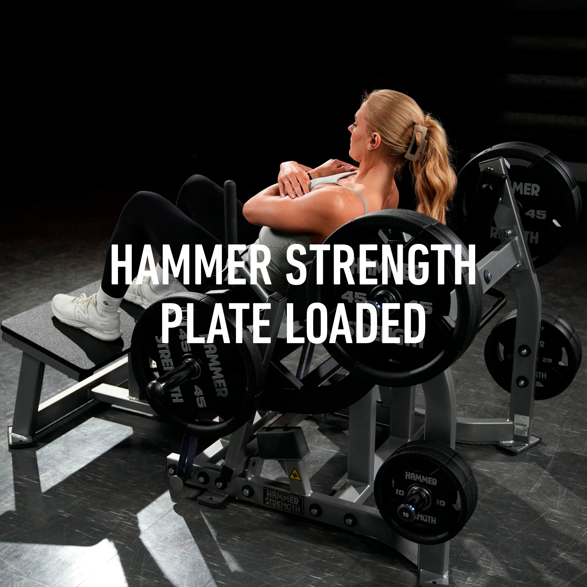 HS_Plate_Loaded_image_text