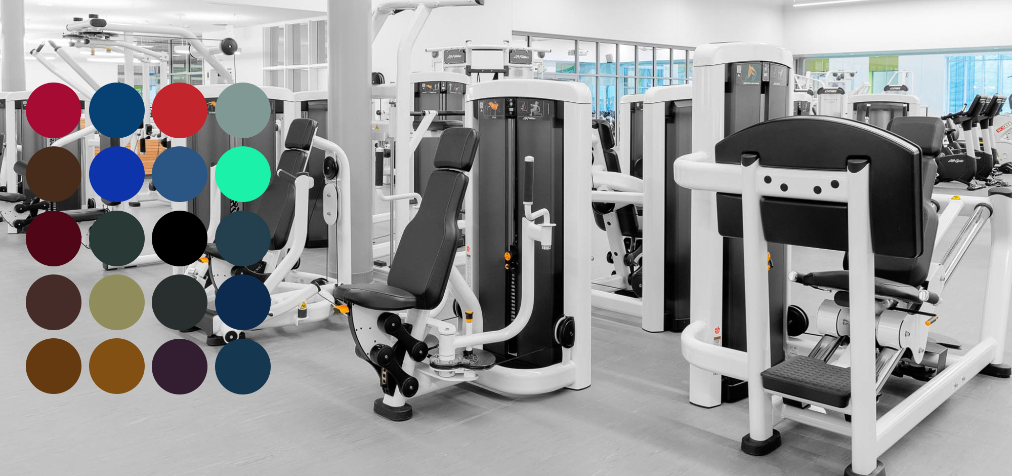 LifeFitness-Insignia-Strength-2