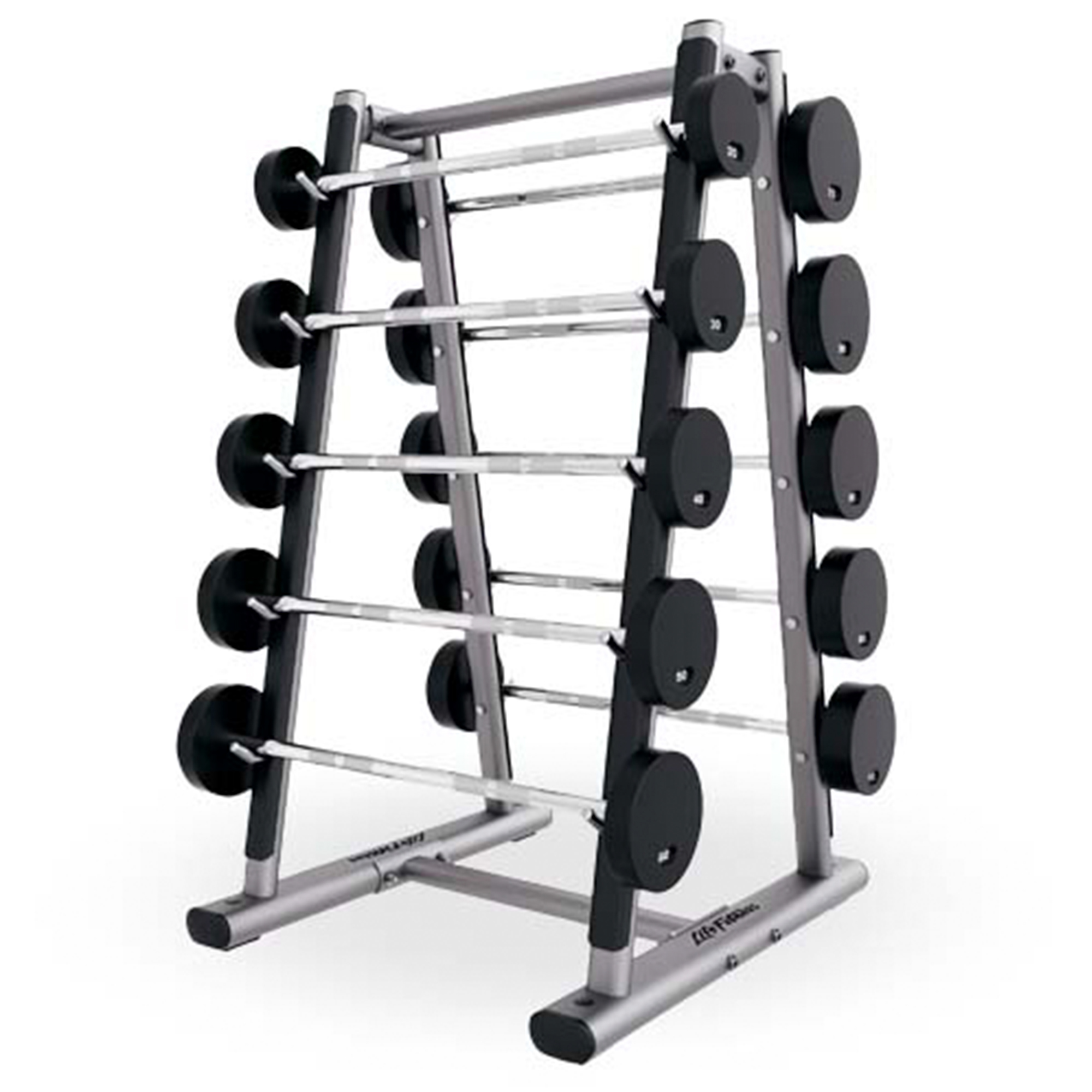 Life Fitness Barbell Rack
